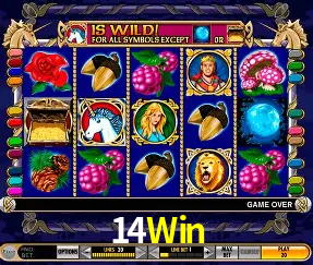 Descubra o Mundo do Cassino Online com 14Win